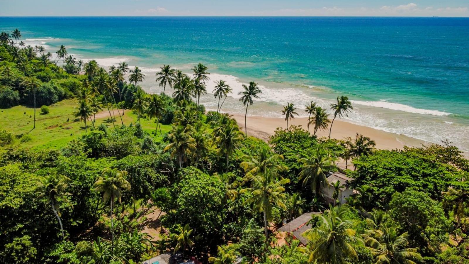 Beach House Kalukatiya - Family Villa, Seaview Room, Garden Room Dikwella Bagian luar foto
