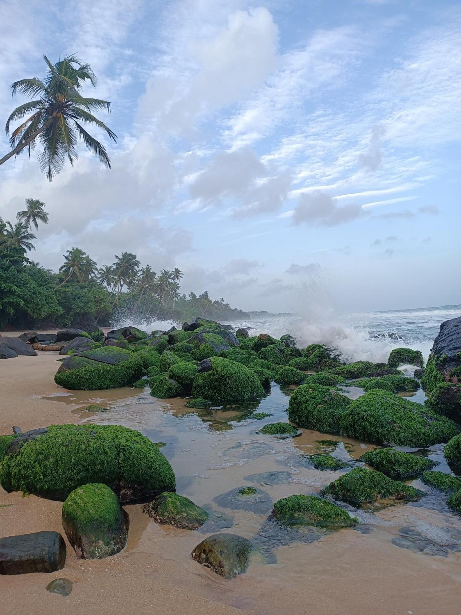 Beach House Kalukatiya - Family Villa, Seaview Room, Garden Room Dikwella Bagian luar foto